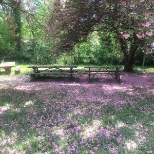 Meet your Posher, Elana